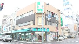 株式会社菊池薬店